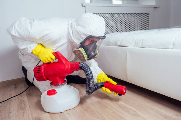 Best Flea Control Services  in Ardsley, NY